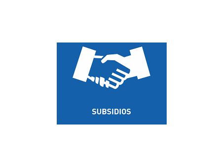 Subsidios - AMUPPI